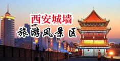 小骚逼要大鸡巴插视频中国陕西-西安城墙旅游风景区