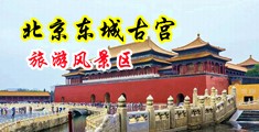 木鱼天日韩搞积中国北京-东城古宫旅游风景区