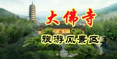 大肉棒操假逼图片中国浙江-新昌大佛寺旅游风景区